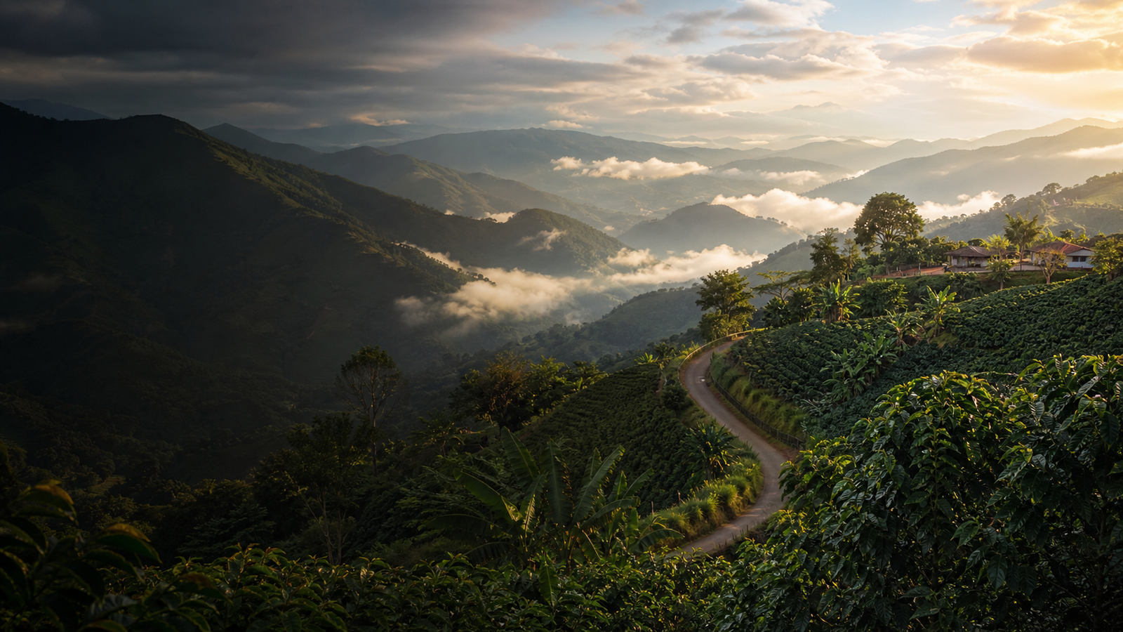 Imagen ilustrativa de montañas de la región cafetera